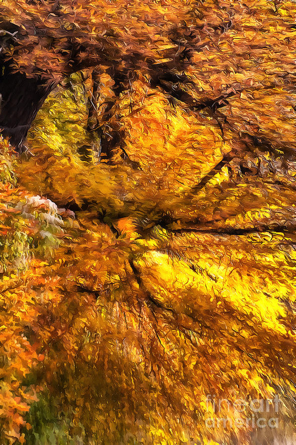 Golden forest Painting by Odon Czintos Fine Art America