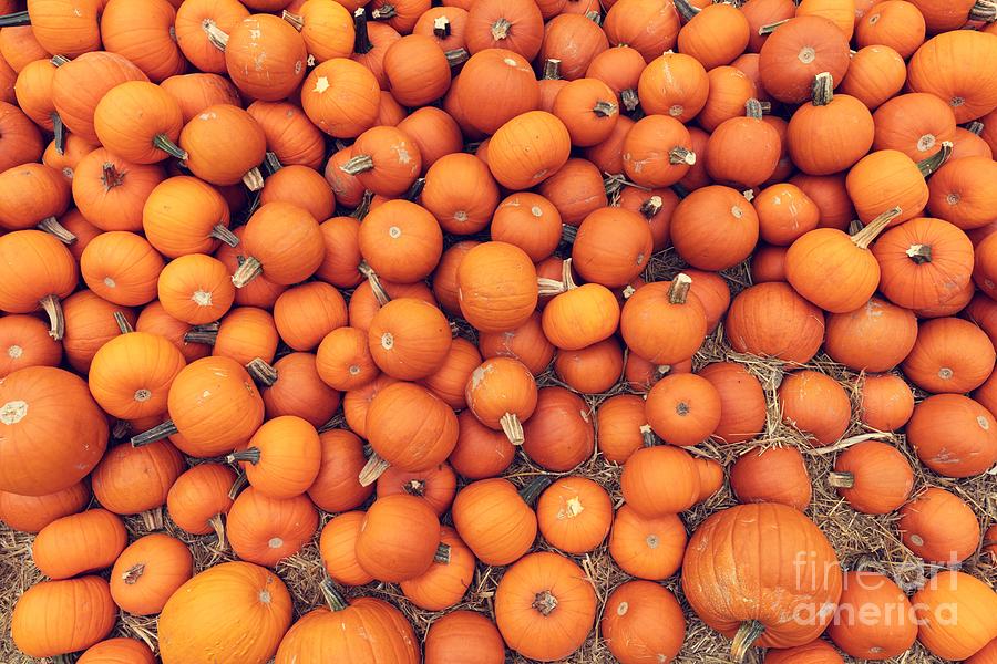 Halloween Pumpkins Background 6 Photograph By Michal Bednarek Fine