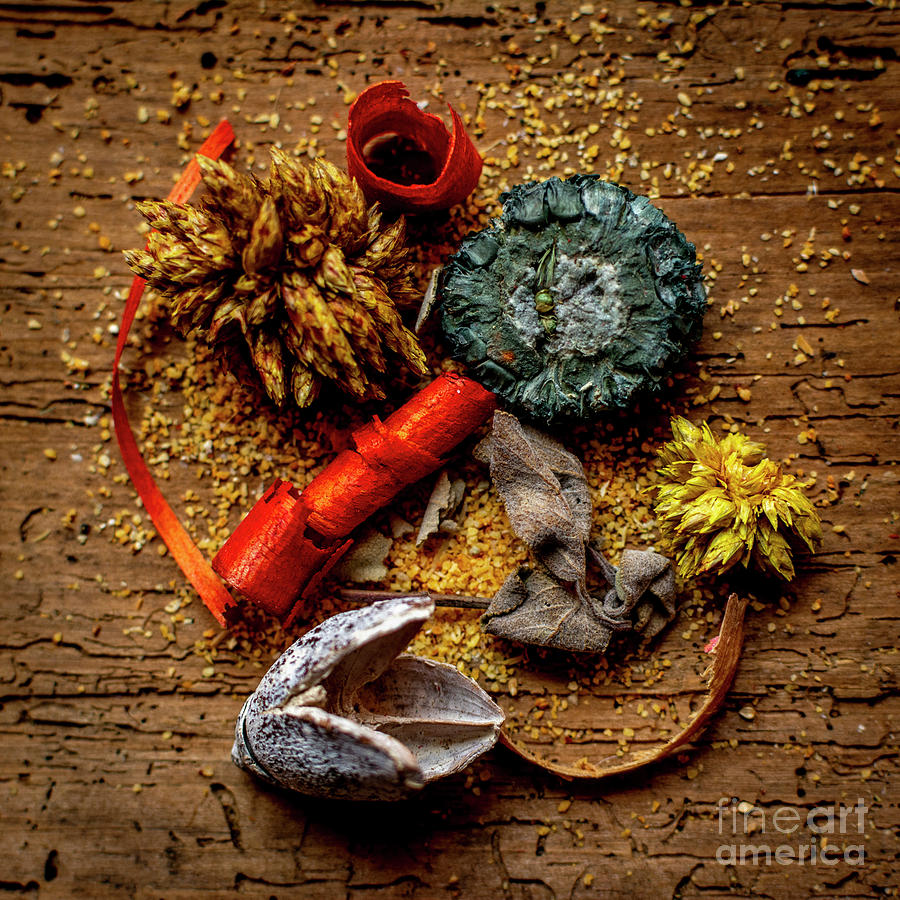 Christmas Photograph - High angle shot of spicy ingredients on a wooden table background #6 by Bernard Jaubert