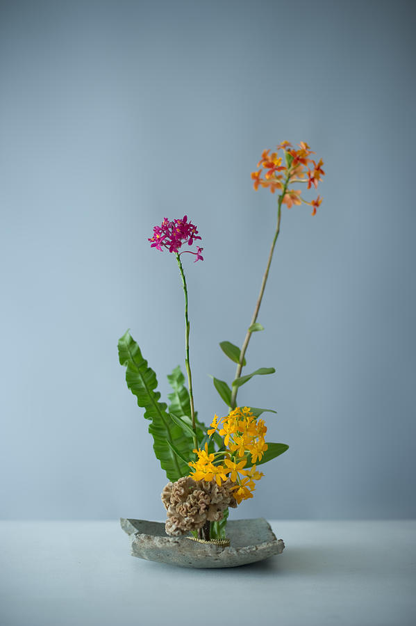 Ikebana, Flower arrangement #6 Photograph by Ryouchin