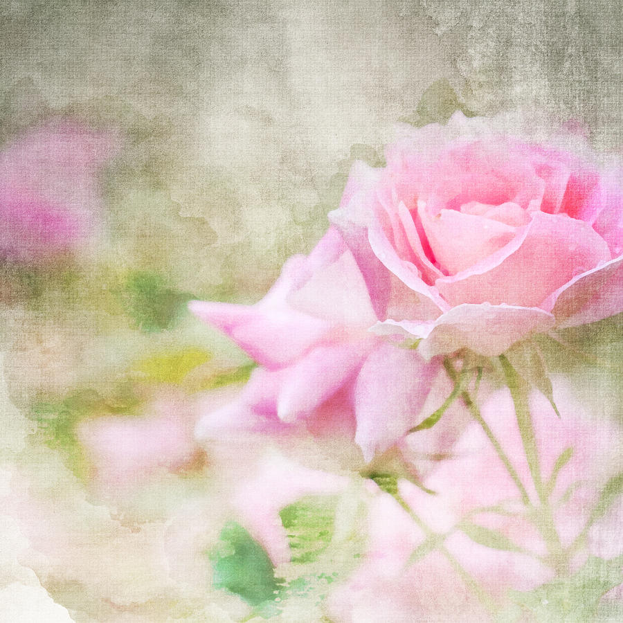 Imitation of the watercolor painting background #6 Photograph by Morgan_studio