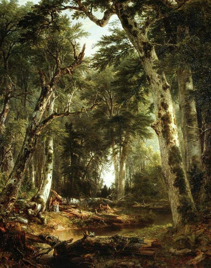 In the Woods #6 Painting by Asher Brown Durand In the Woods #6 Painting by Asher Brown Durand