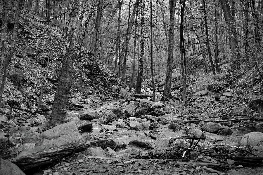 Indian Hole Brook, Shelton CT #6 Photograph by Thomas Henthorn - Pixels