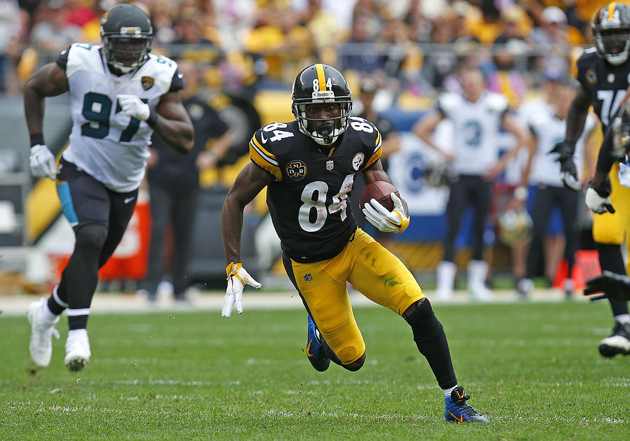 Jacksonville Jaguars v Pittsburgh Steelers #6 Photograph by Justin K. Aller
