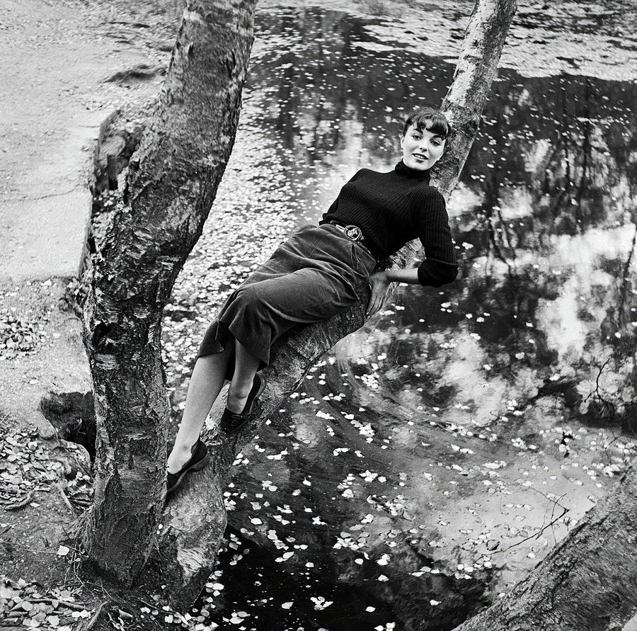 Joan Collins. #6 Photograph by Album Joan Collins. #6 Photograph by Album
