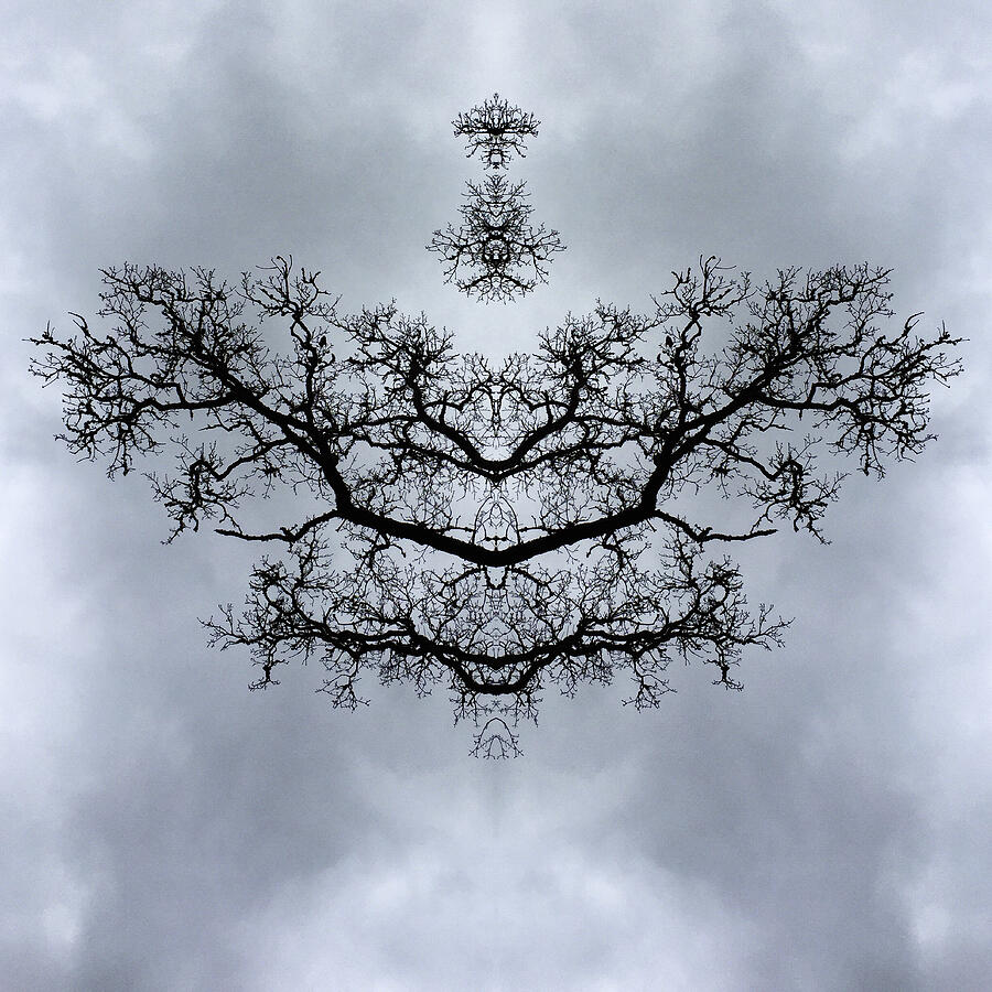 Kaleidoscopic Image of Winter Tree branches #6 Photograph by Mike Hill