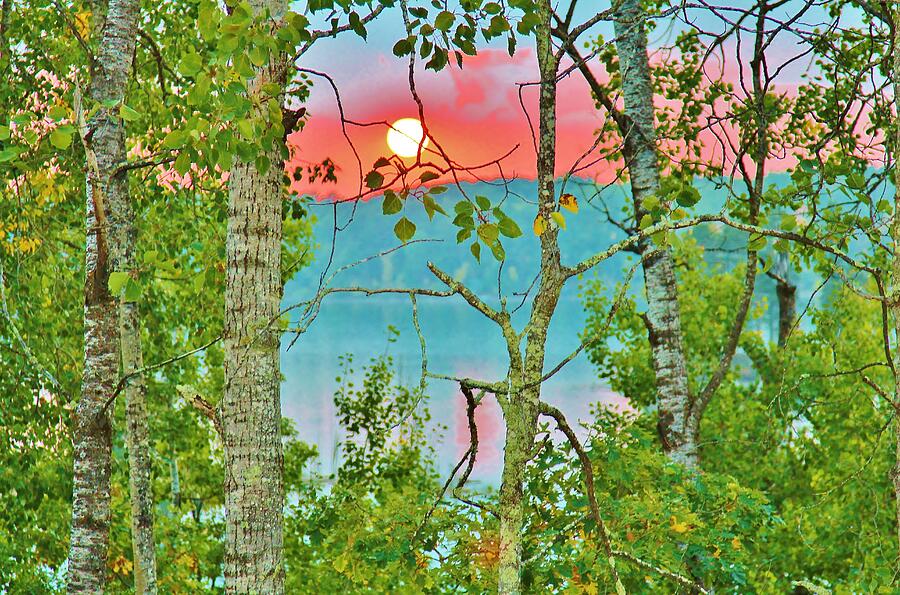 Landscape #6 Photograph by John Walsh Landscape #6 Photograph by John Walsh