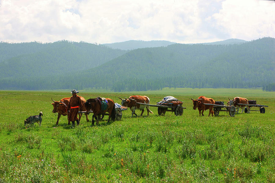 Life of Countryside #6 Photograph by Bat-Erdene Baasansuren