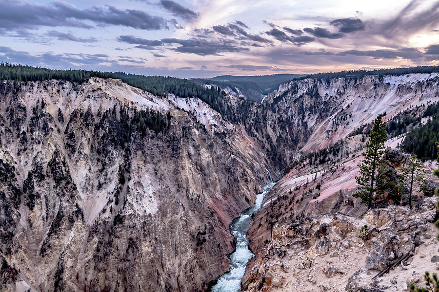 Lower falls of the yellowstone national park from artist point a #6 Photograph by Alex Grichenko
