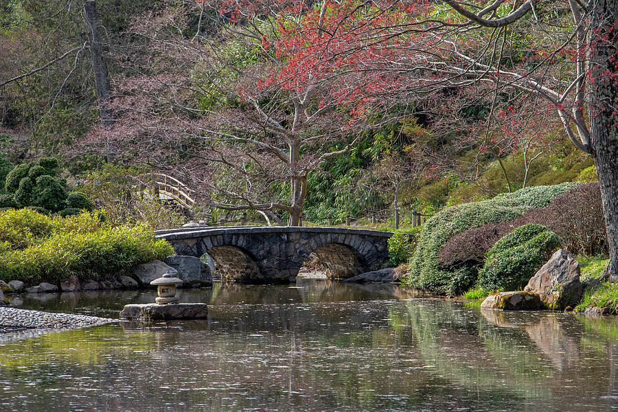 Maymont Japanese Gardens #6 Photograph by Jean Haynes - Fine Art America