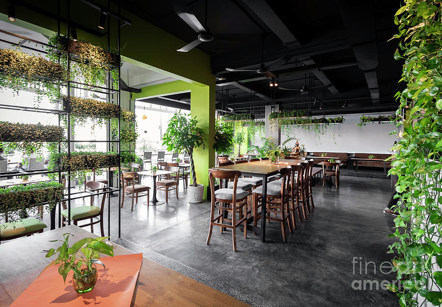 Modern Interior Design With Plants At Restaurant In Thailand Photograph