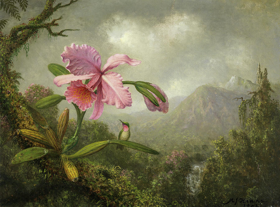 Orchid and Hummingbird near a Mountain Waterfall  #6 Painting by Martin Johnson Heade
