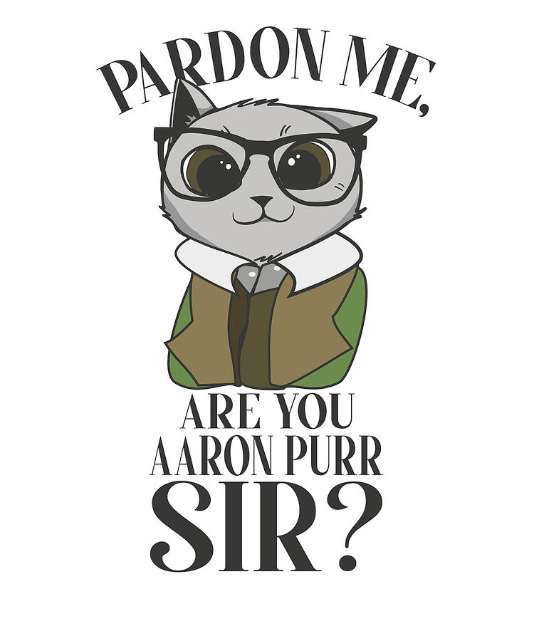 Pardon Me Are You Aaron Purr Sir T-Shirt