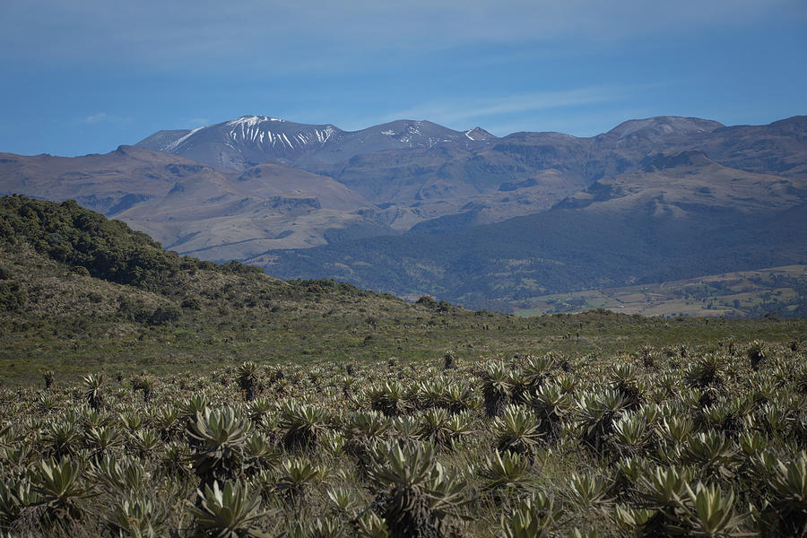 Parque Purace Cauca Colombia Photograph by Tristan Quevilly Parque Purace Cauca Colombia Photograph by Tristan Quevilly