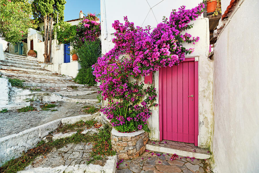 Picturesque alley in the old Chora of Alonissos, Greece #6 Photograph by Constantinos Iliopoulos