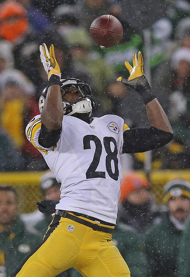Pittsburgh Steelers v Green Bay Packers #6 Photograph by Jonathan Daniel