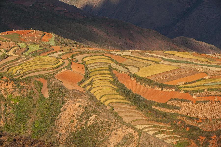 Red soil farmlands in Dongchuan district #6 Photograph by MOAimage