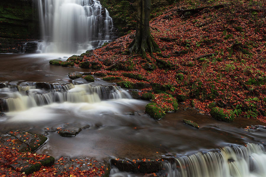 Scalber Force #6 Photograph by Nick Atkin