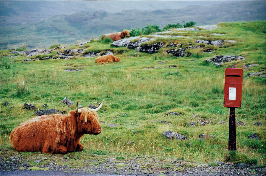 Scotland #6 Photograph by Claude Taylor