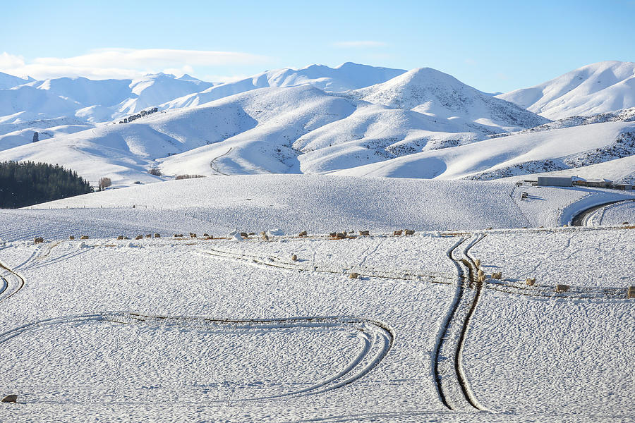 Snowing in South Island , New Zealand  #6 Photograph by Pla Gallery