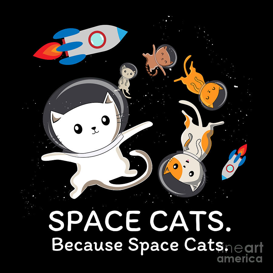 Space Cats Spaceship Galaxy Satellite Kitten Digital Art by Mister Tee -  Pixels