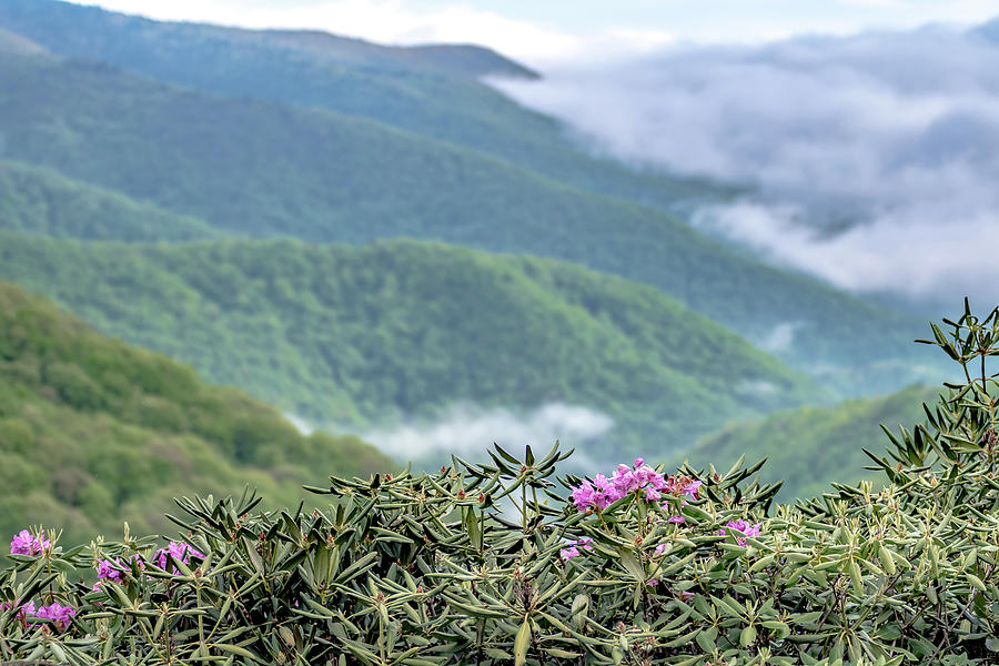 Spring Time On Blue Ridge Parkway Mountains #6 Photograph by Alex Grichenko