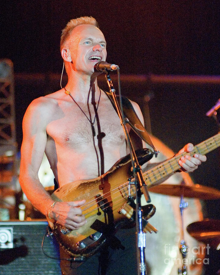 The Police Photograph - Sting Performing with The Police at Bonnaroo Music Festival #6 by David Oppenheimer