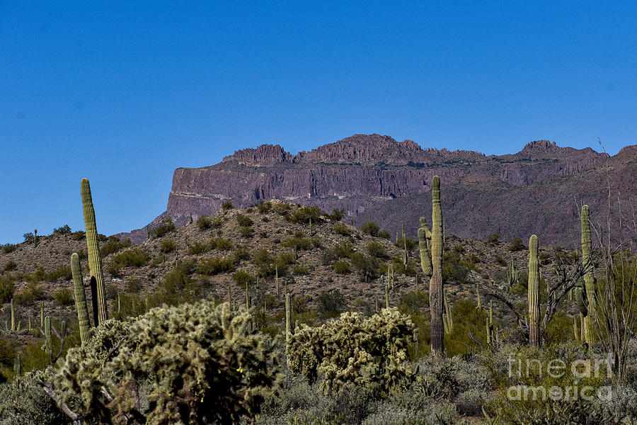 Superstition Mountains #6 Digital Art by Tammy Keyes