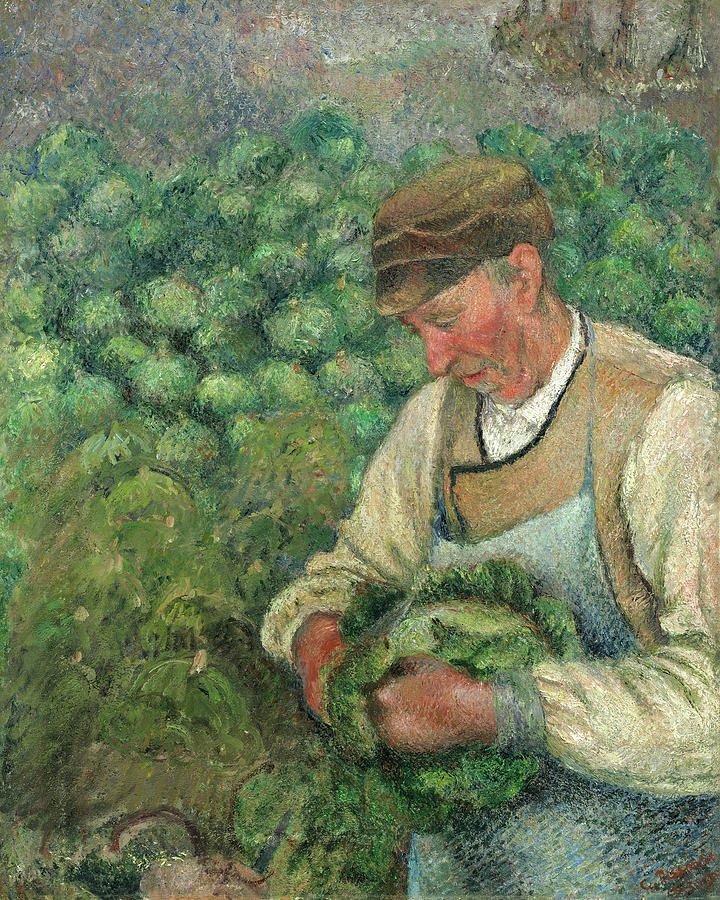 The Gardener, Old Peasant with Cabbage #7 Painting by Camille Pissarro