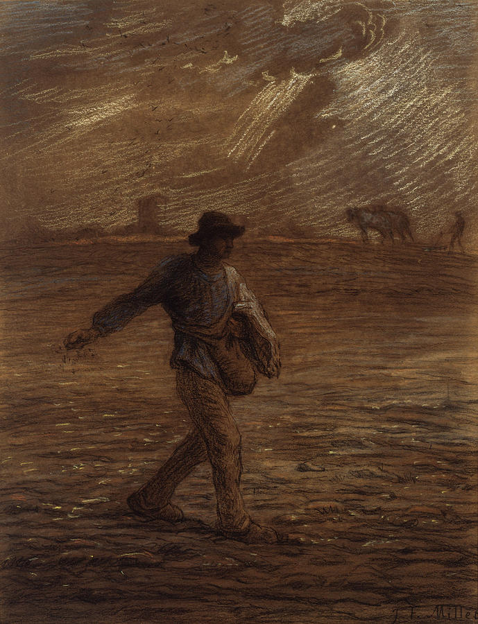 The Sower #7 Drawing by Jean Francois Millet