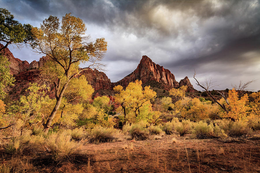 Zion National Park Photograph - The Watchman, Zion National Park #6 by Peter OReilly