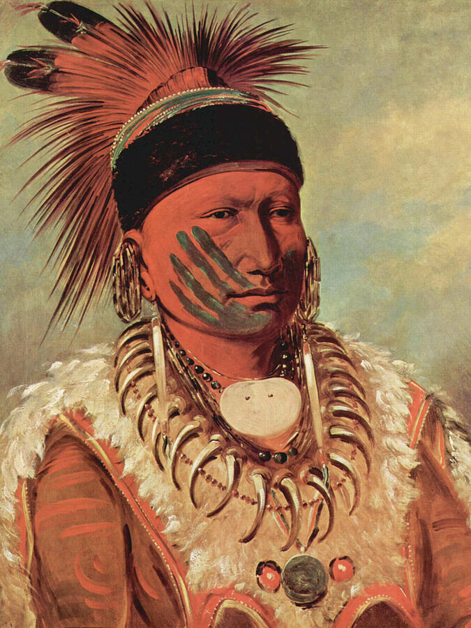 George Catlin Painting - The White Cloud, Head Chief of the Iowas #6 by George Catlin
