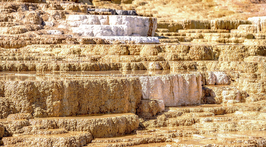 Travertine Terraces, Mammoth Hot Springs, Yellowstone #6 Photograph by Alex Grichenko