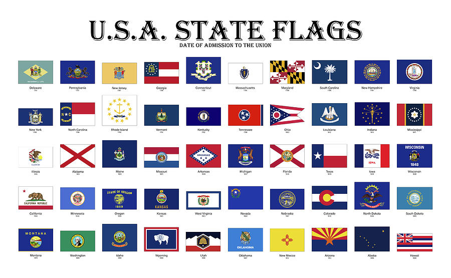 United States of America State flags Digital Art by StockPhotosArt Com ...