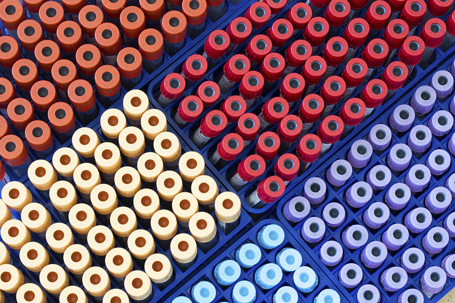 Vacutainer tubes #6 Photograph by Wladimir Bulgar/science Photo Library