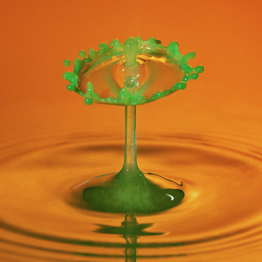 Water drop falling onto column of water Photograph by Steven Heap