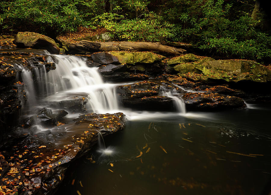 Fall Photograph - Waterfall on Deckers Creek near Masontown WV #2 by Steven Heap