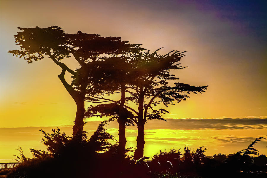 West Cliff Walk Santa Cruz Photograph by Tommy Farnsworth | Pixels