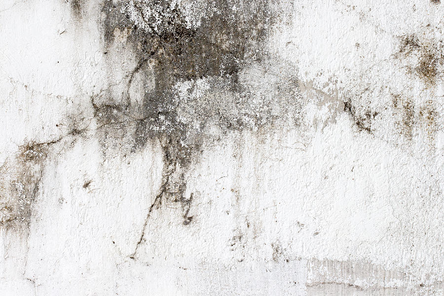 White Concrete Wall Texture #6 Photograph by Freedom_naruk