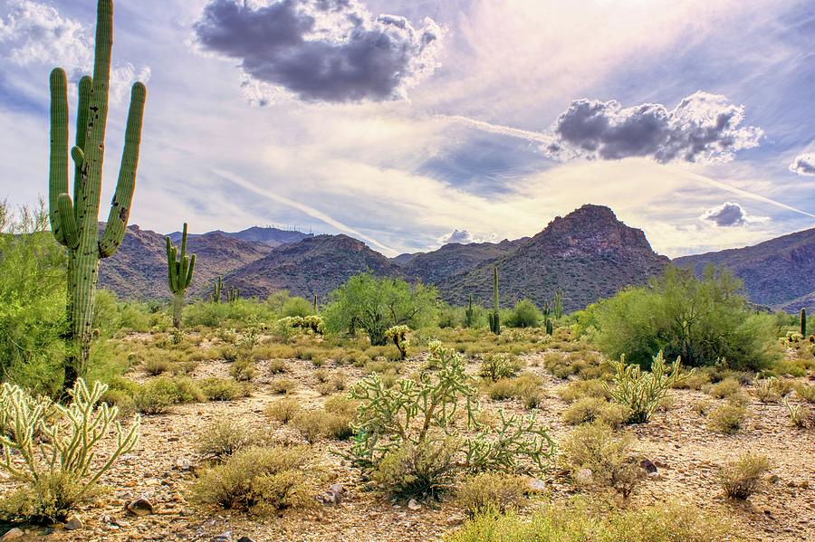 White Tank Mountain Scenes Near Phoenix Arizona #6 Photograph by Kenneth Roberts