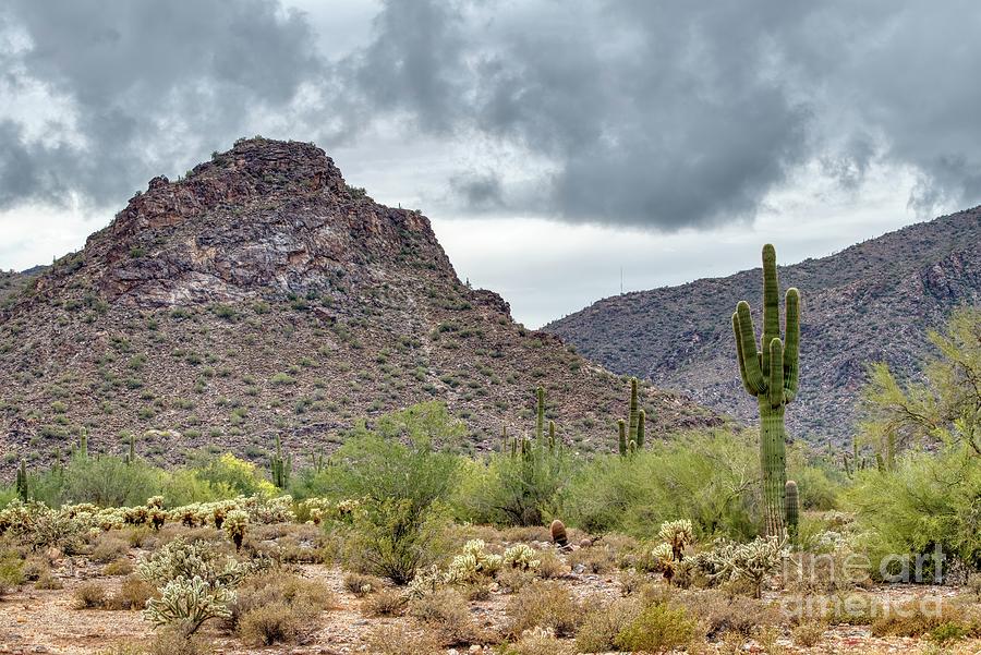 White Tank Mountain State Park Near Phoenix Arizona #6 Photograph by Kenneth Roberts