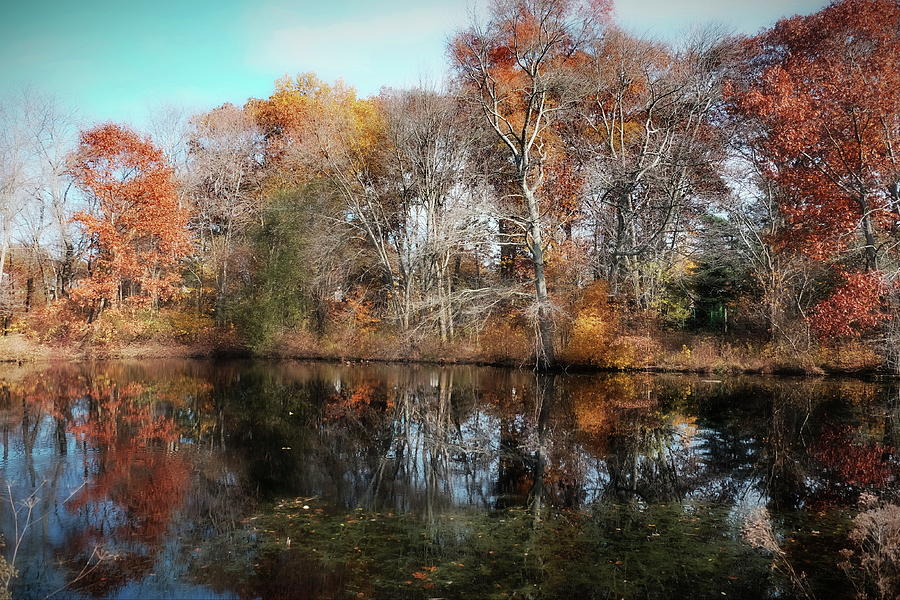 Wigwam Pond Stratford Ct Photograph By Thomas Henthorn Fine Art America