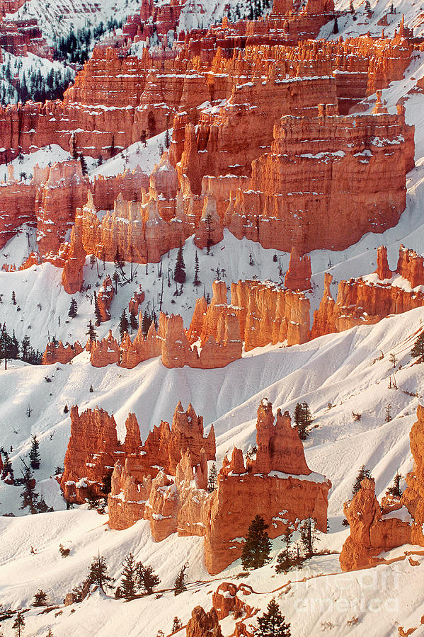 Winter Sunrise Bryce Canyon National Park Utah #6 Photograph by Dave Welling