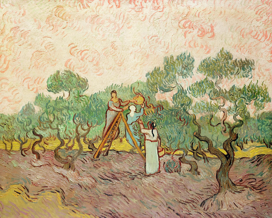 Vincent Van Gogh Painting - Women Picking Olives #7 by Vincent van Gogh