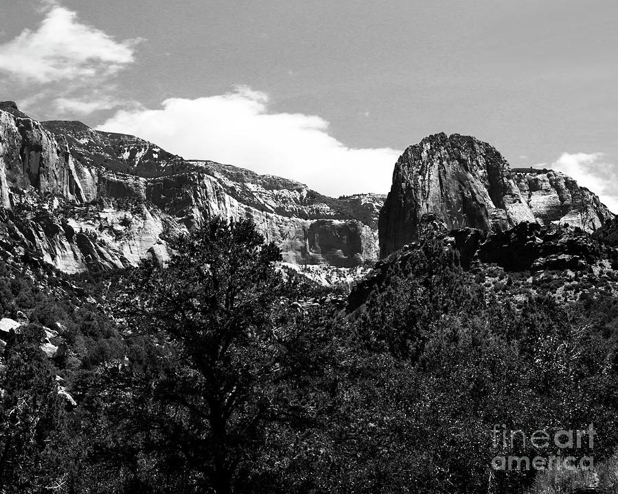 Zion National Park Utah #4 Photograph by Bob Pardue