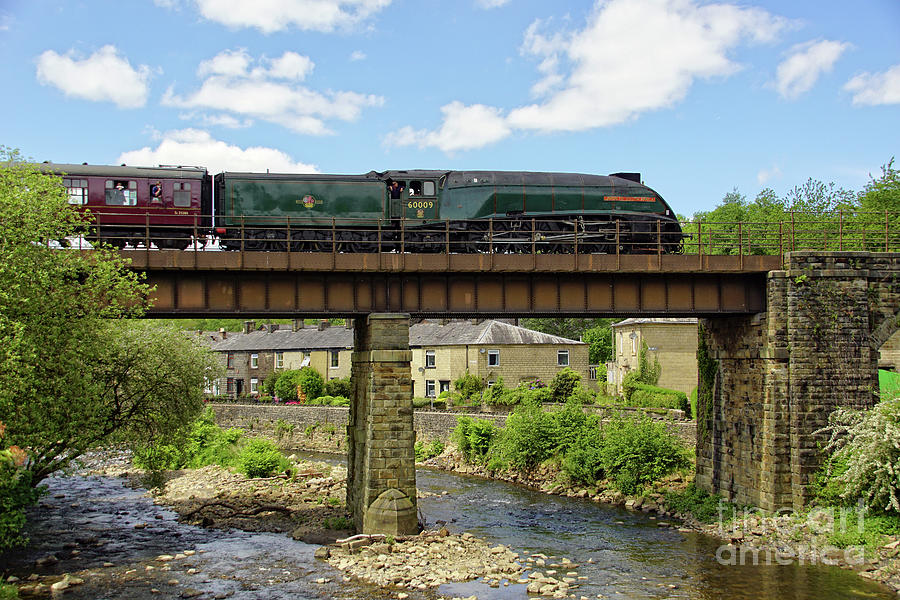 60009 Union Of South Africa crossing Brooksbottom Viaduct. Photograph by David Birchall