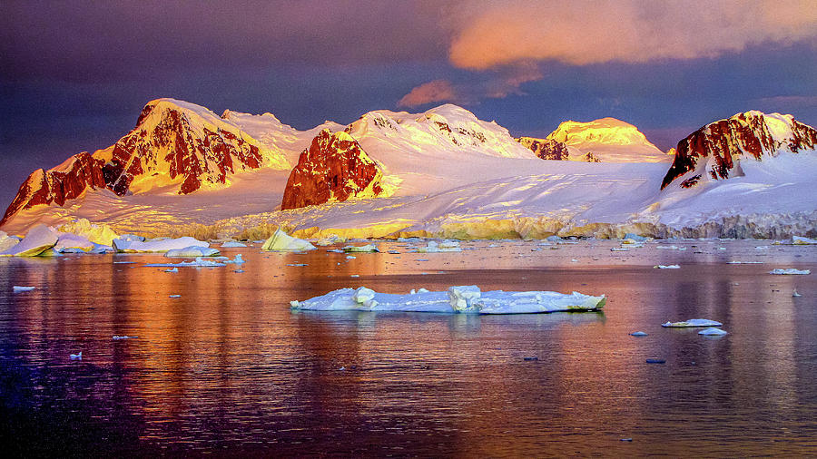 Antarctica #61 Photograph by Paul James Bannerman