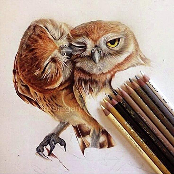 Realistic Animal Drawings Painting by Lauren Dane - Pixels