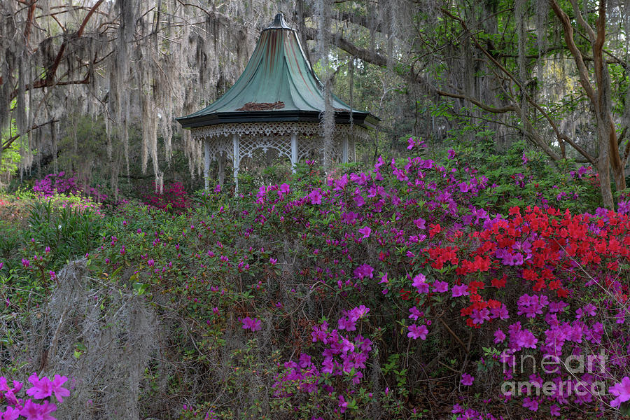 Secret Garden Spot - Magnolia Plantation and Gardens  Photograph by Dale Powell