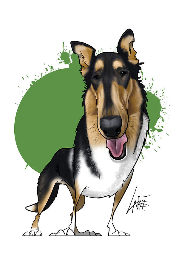 Smooth Collie Drawing - 6157 Canaday by John LaFree